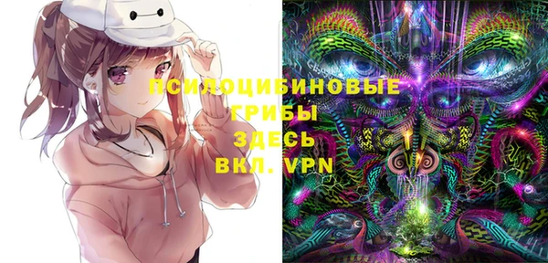 PSILOCYBIN Алзамай