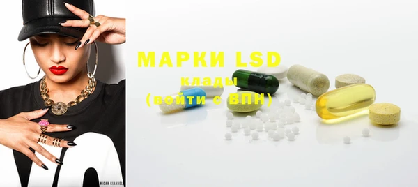 PSILOCYBIN Алзамай
