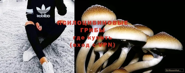соль курить ск Арсеньев