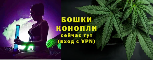 PSILOCYBIN Алзамай