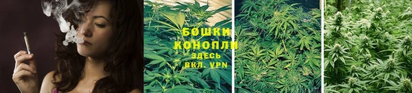 PSILOCYBIN Алзамай
