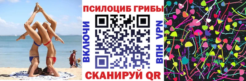 сайты даркнета Telegram  Петропавловск-Камчатский  Псилоцибиновые грибы Psilocybine cubensis 
